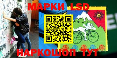 шишки Краснознаменск