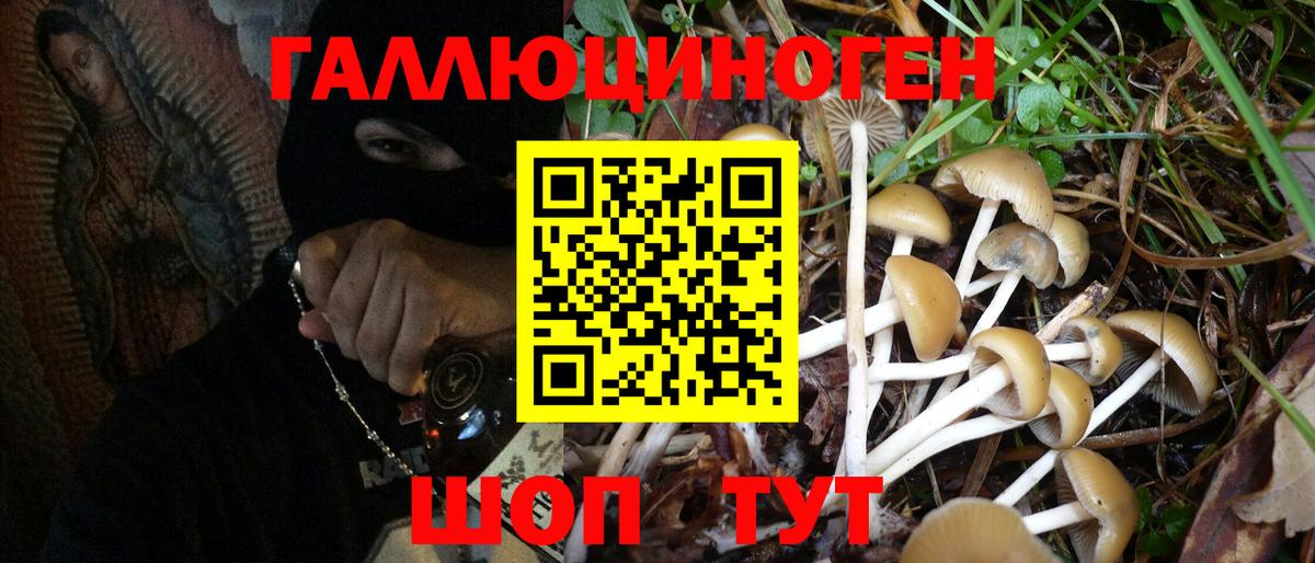 Галлюциногенные грибы MAGIC MUSHROOMS  Вход с VPN  Урай 