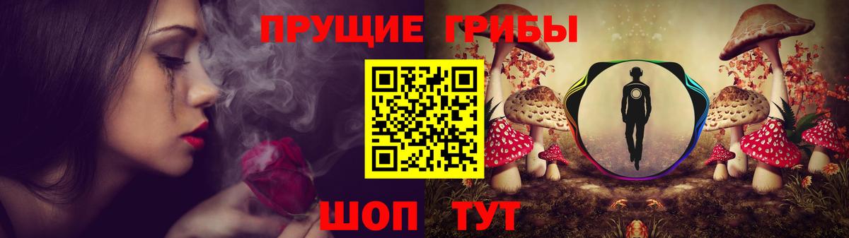 Псилоцибиновые грибы прущие грибы Урай